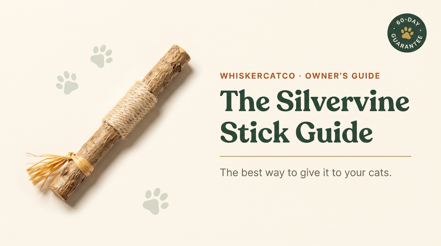 The Silvervine Stick Guide: The best way to give it to your cats (E-Book)