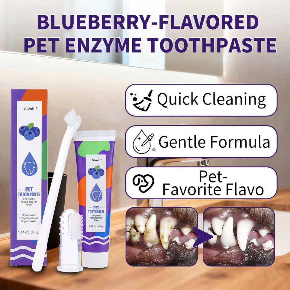 Dental Kit
