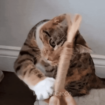 WhiskerCatCo. Silvervine Dental Sticks