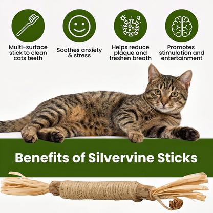 WhiskerCatCo. Silvervine Dental Sticks