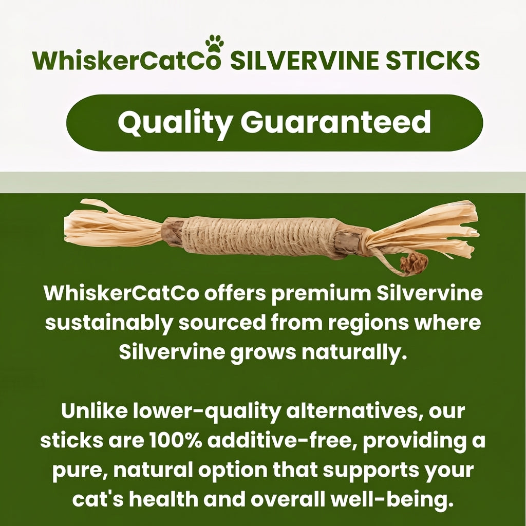 WhiskerCatCo. Silvervine Dental Sticks