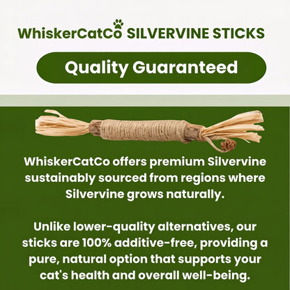 WhiskerCatCo. Silvervine Dental Sticks