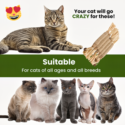WhiskerCatCo. Silvervine Dental Sticks